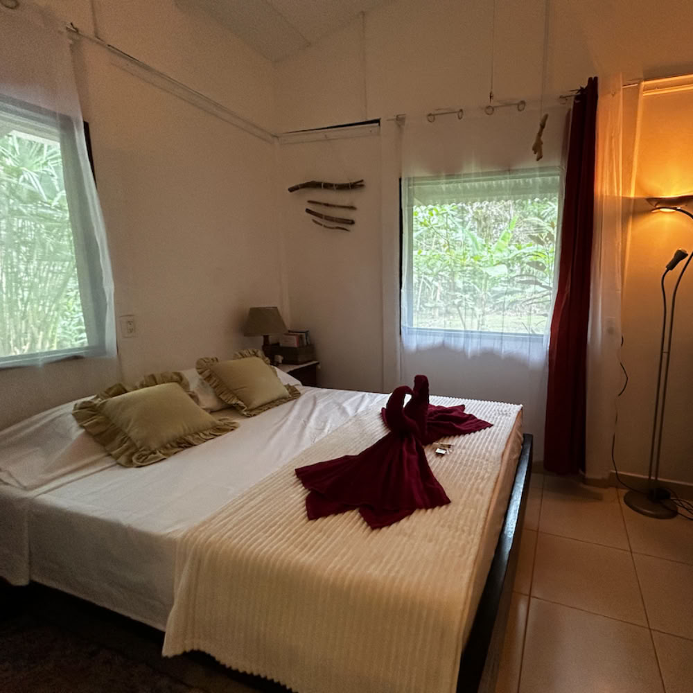Hemlig fristad Ayahuasca-retreat – 5–12 december