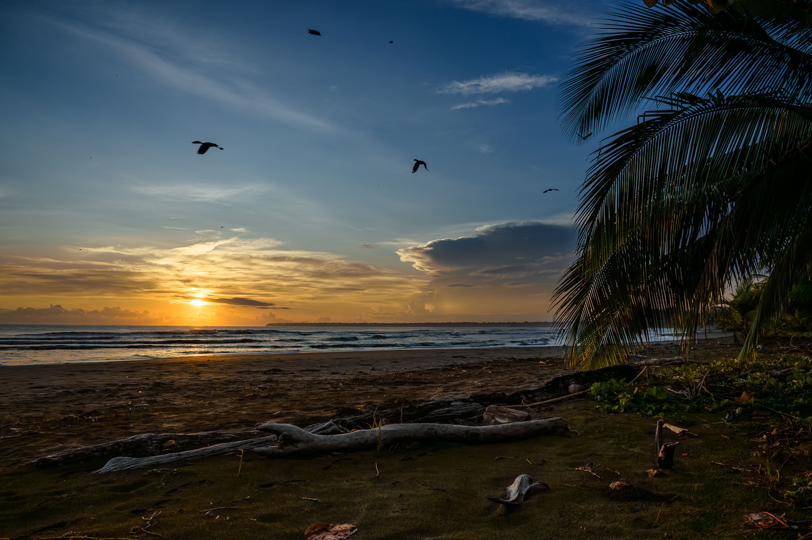 Hemlig fristad Ayahuasca-retreat – 5–12 december