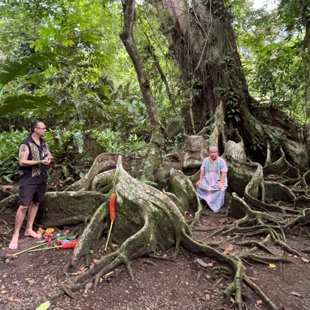 Shipibo-healingretreat