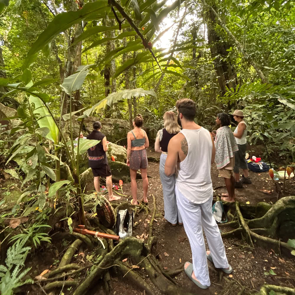 Shipibo-healingretreat