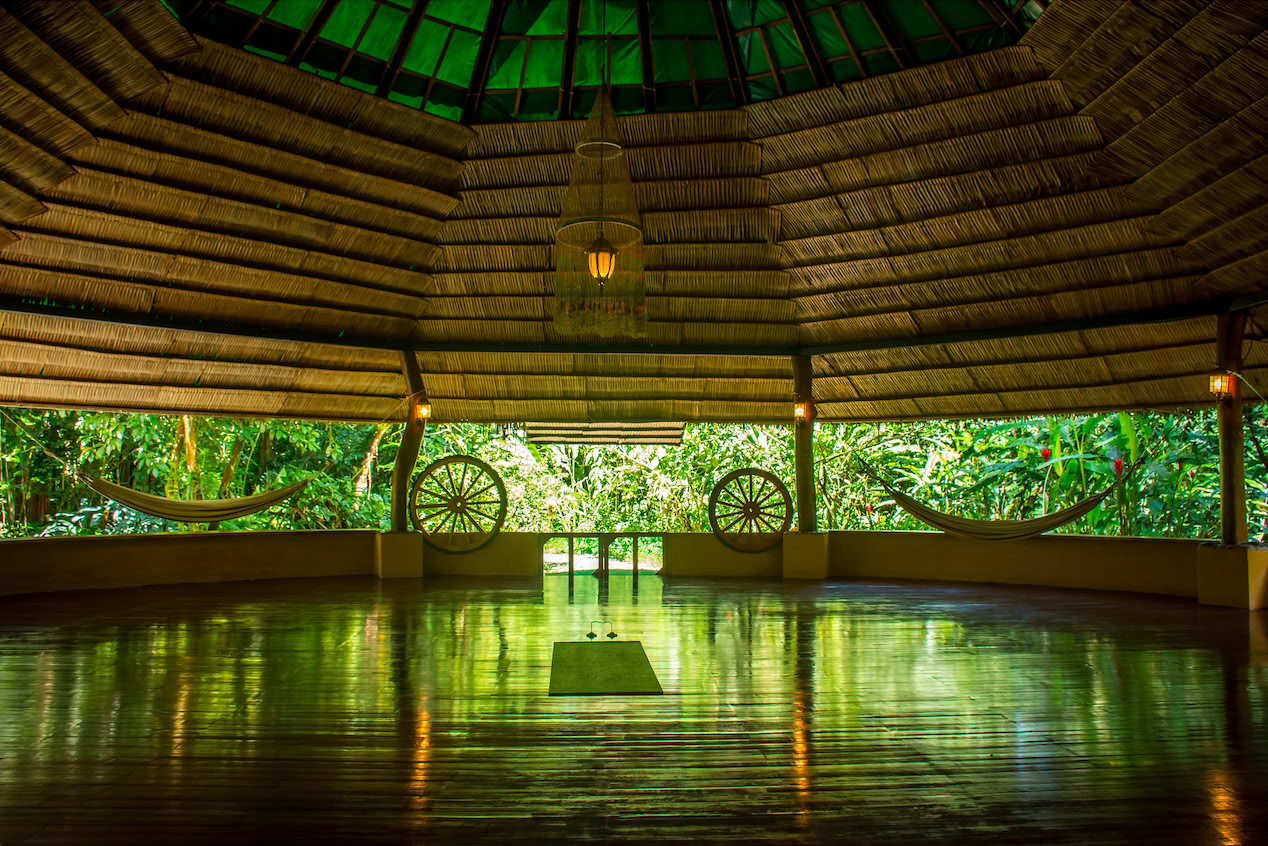 Shipibo-healingretreat