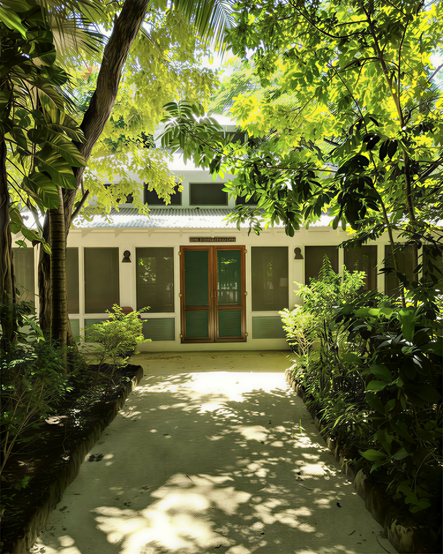 6-dagars psilocybin-retreatprogram