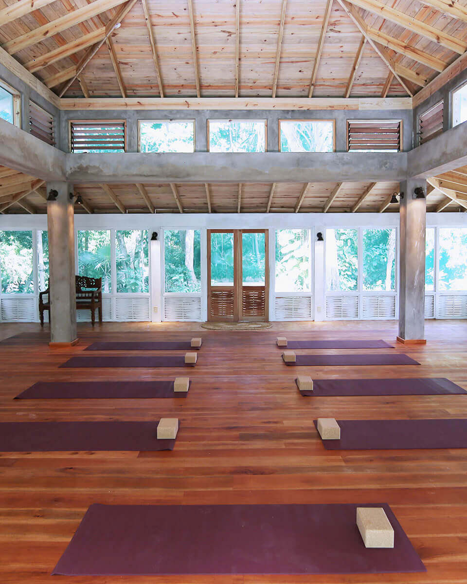 6-dagars psilocybin-retreatprogram