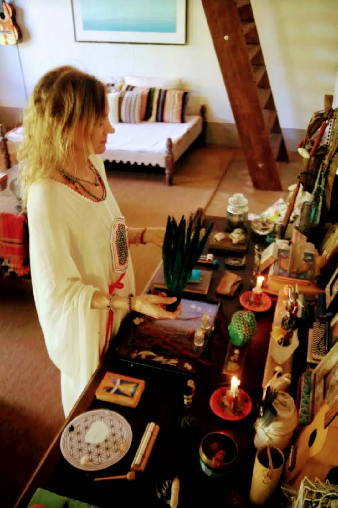 6-dagars privat ayahuasca-retreat