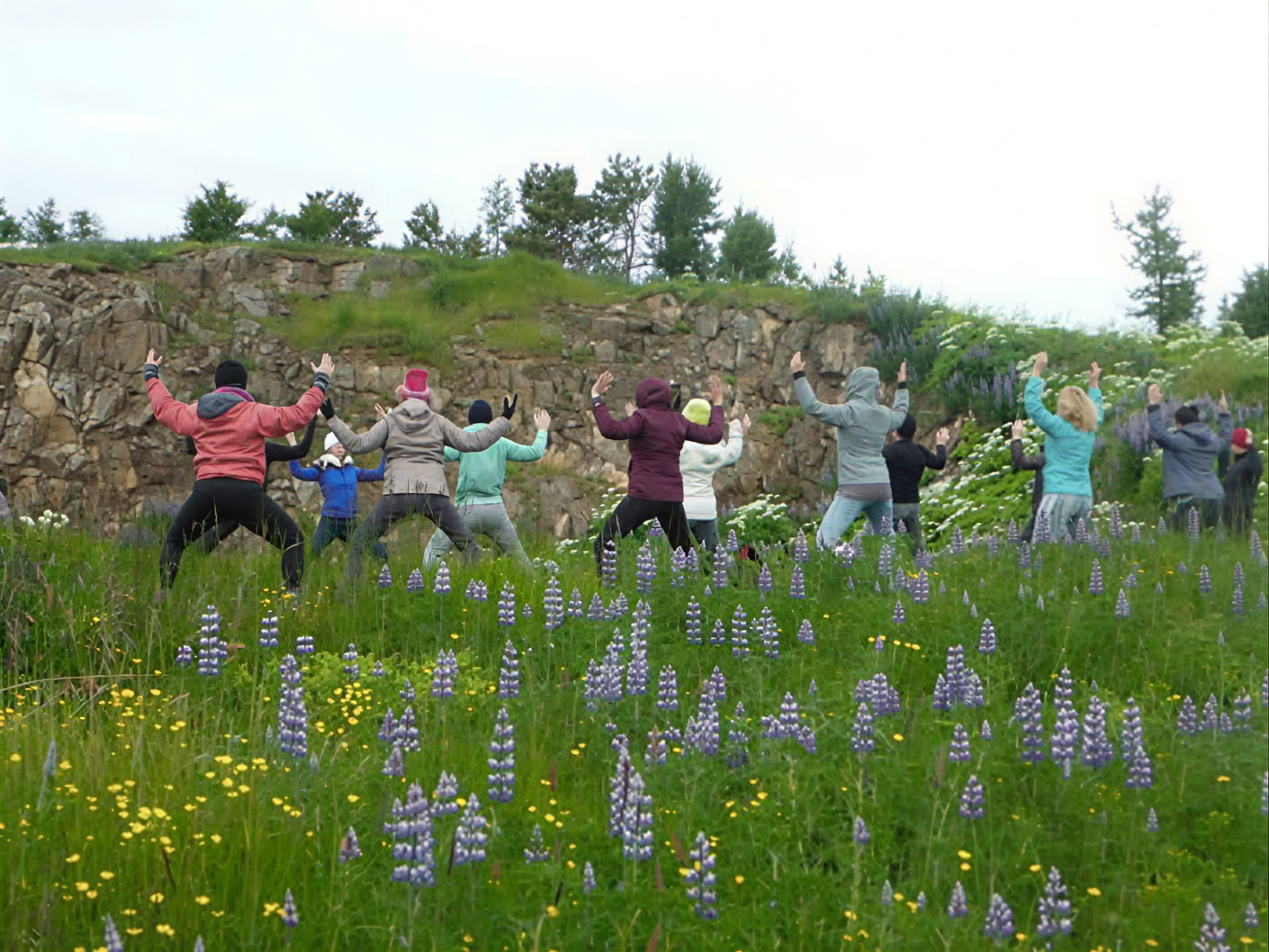 Yoga- och vandringsretreat under midnattssolen på Island – datum 2025