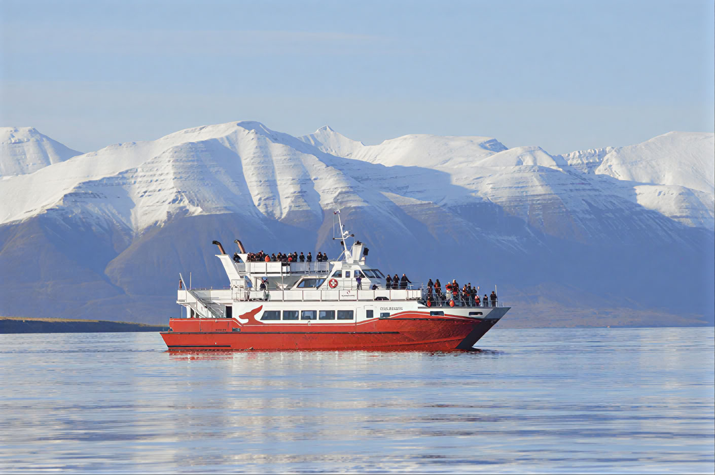 Valskådning i Akureyri