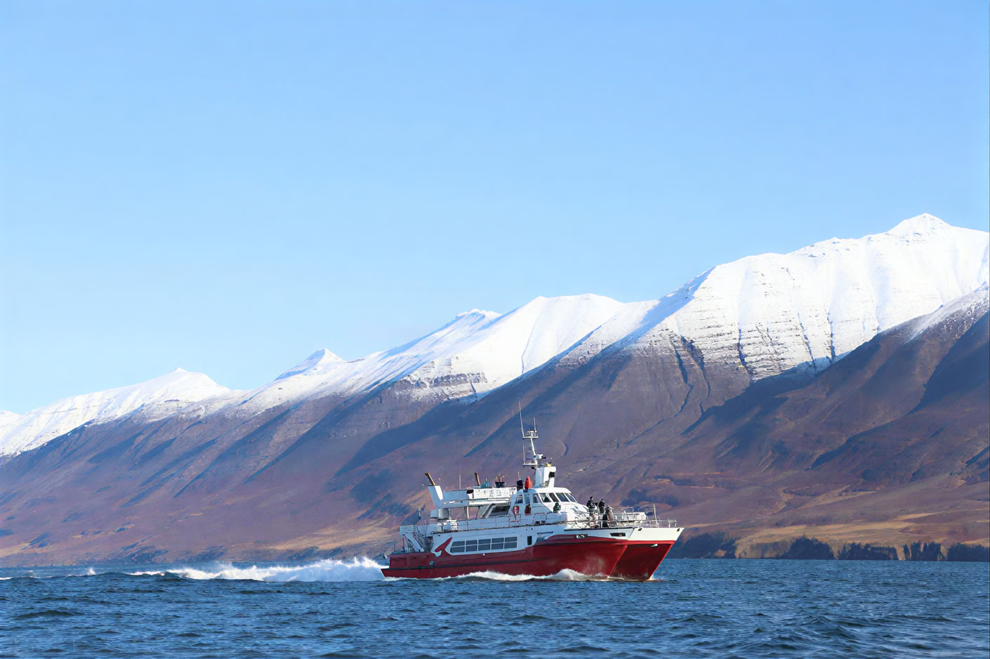 Valskådning i Akureyri
