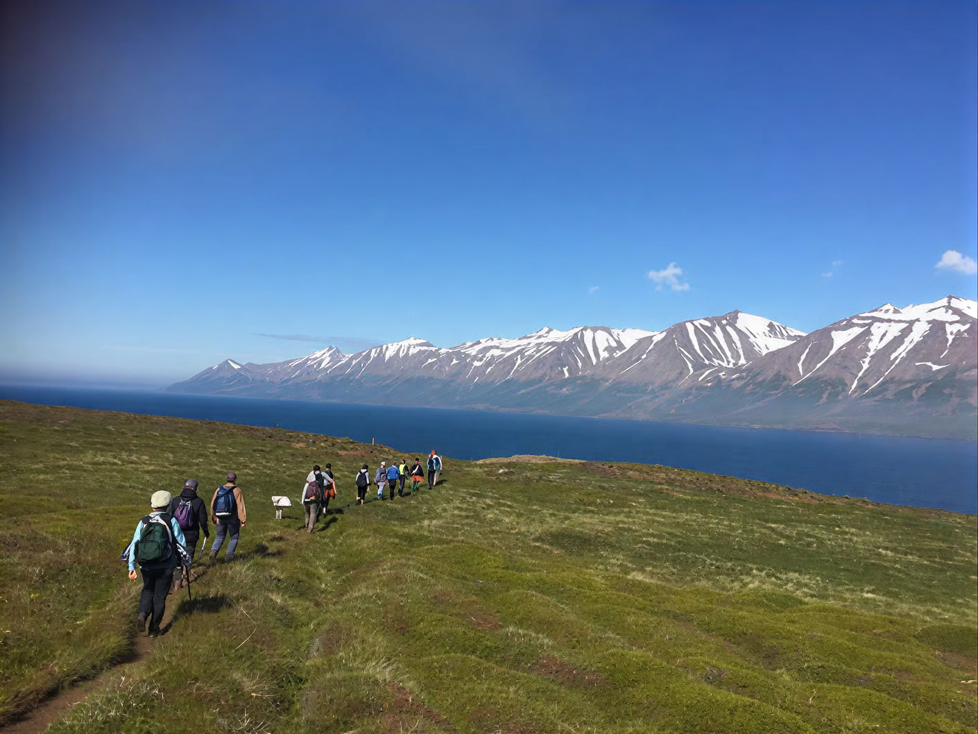 Yoga- och vandringsretreat under midnattssolen på Island – datum 2026