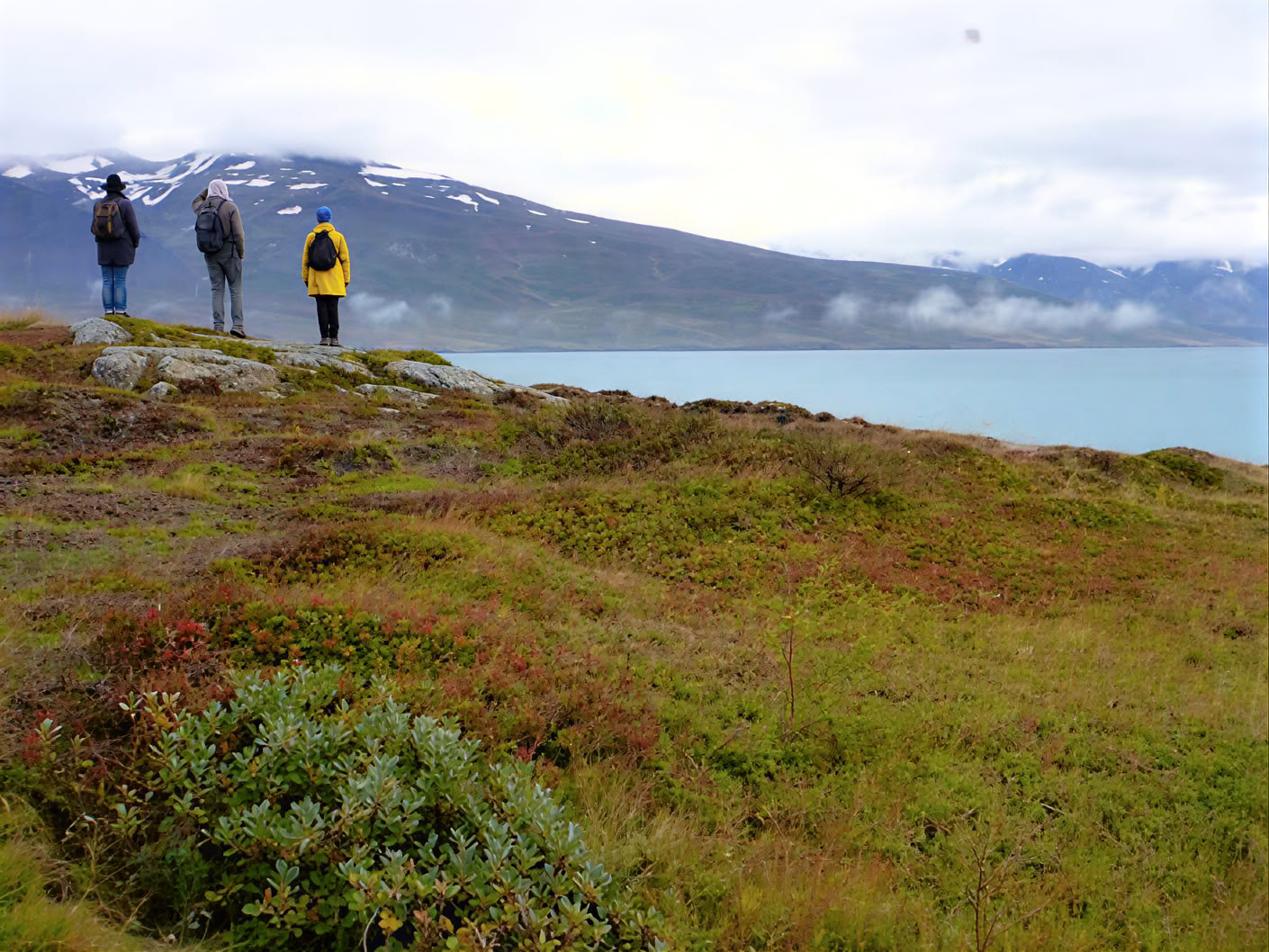 Yoga- och vandringsretreat i gyllene höst på Island – datum 2026