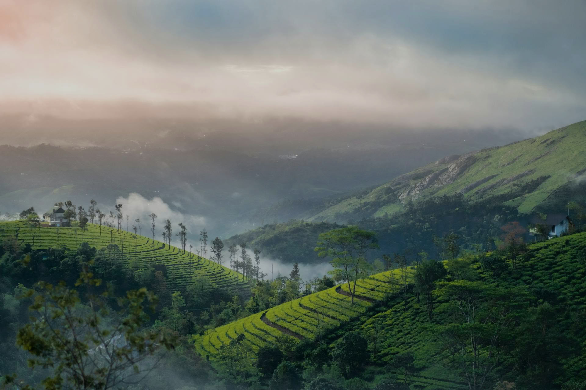 Yoga-retreater i Kerala med Ira Trivedi