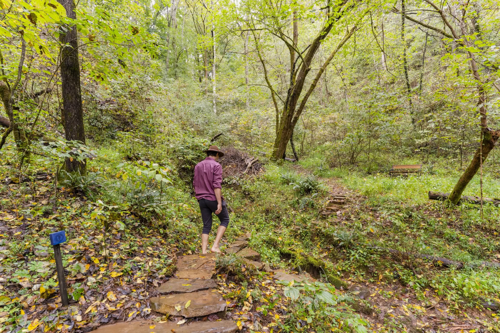 Yoga- och vandringsretreat | Yoga-retreat i Smoky Mountains — Seven Springs