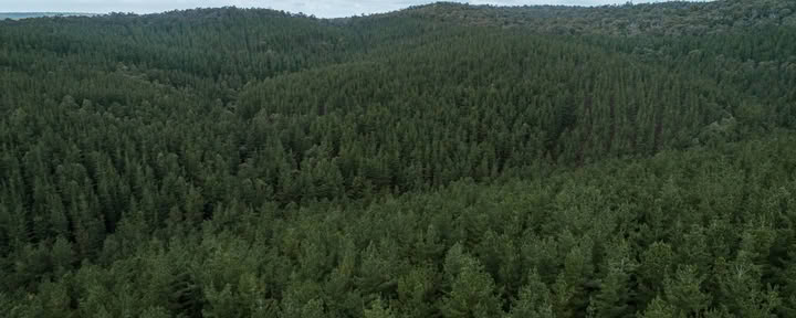 Avkopplingsretreat
