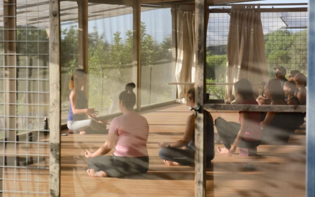 Citrusdoft-retreat – yoga och konst-resa