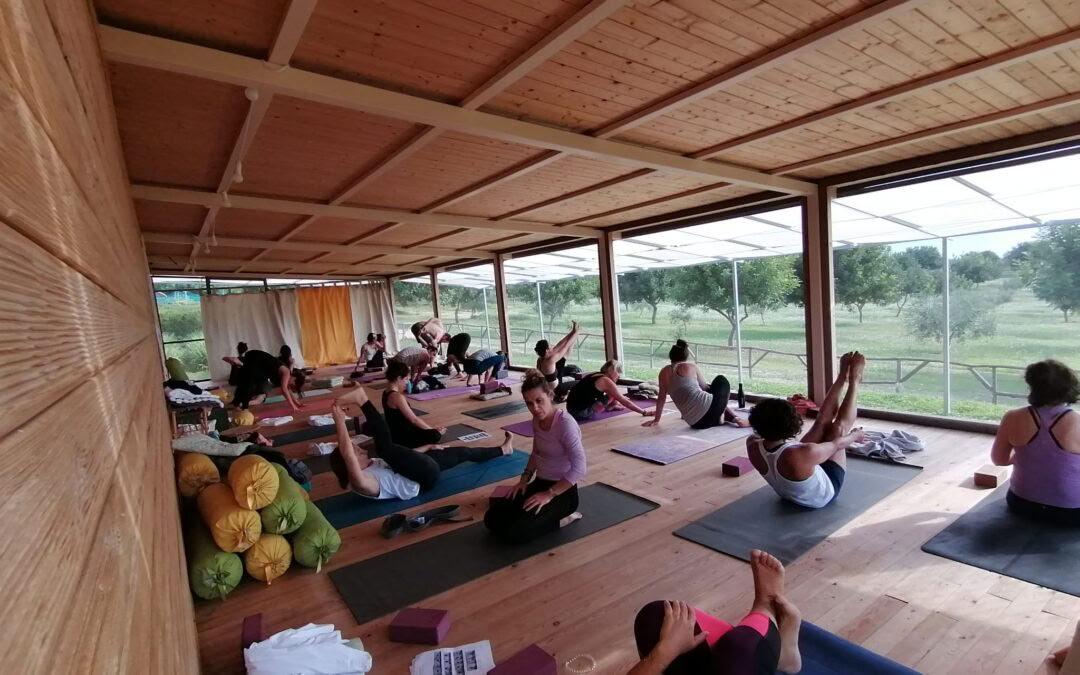 Citrusdoft-retreat – yoga och konst-resa