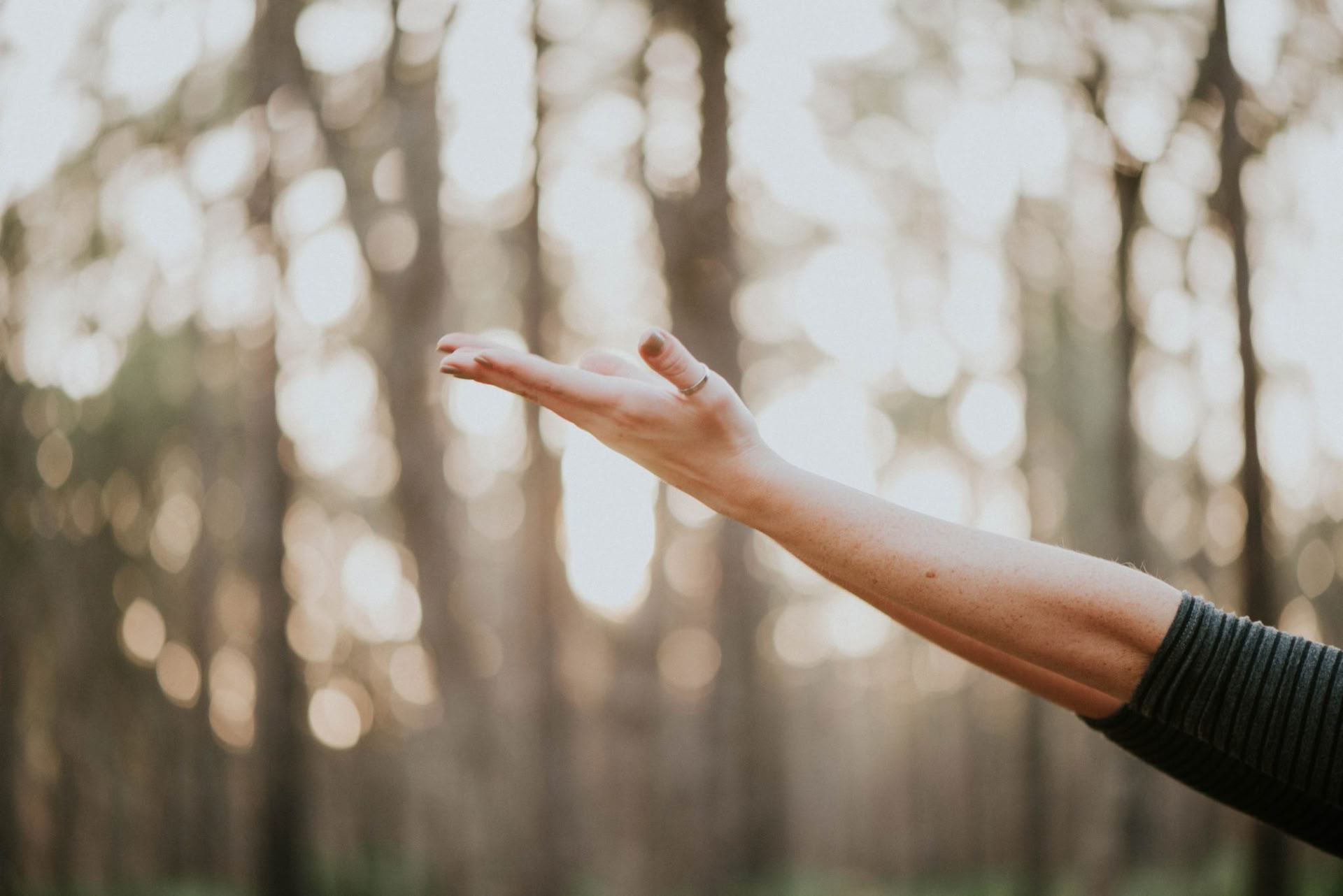 Avslappnande och ljuvligt sommar-yogaretreat
