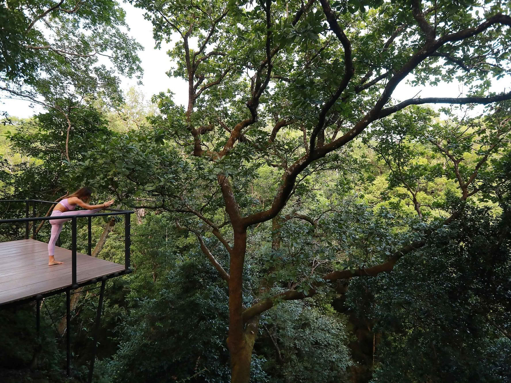 Klipphyoga