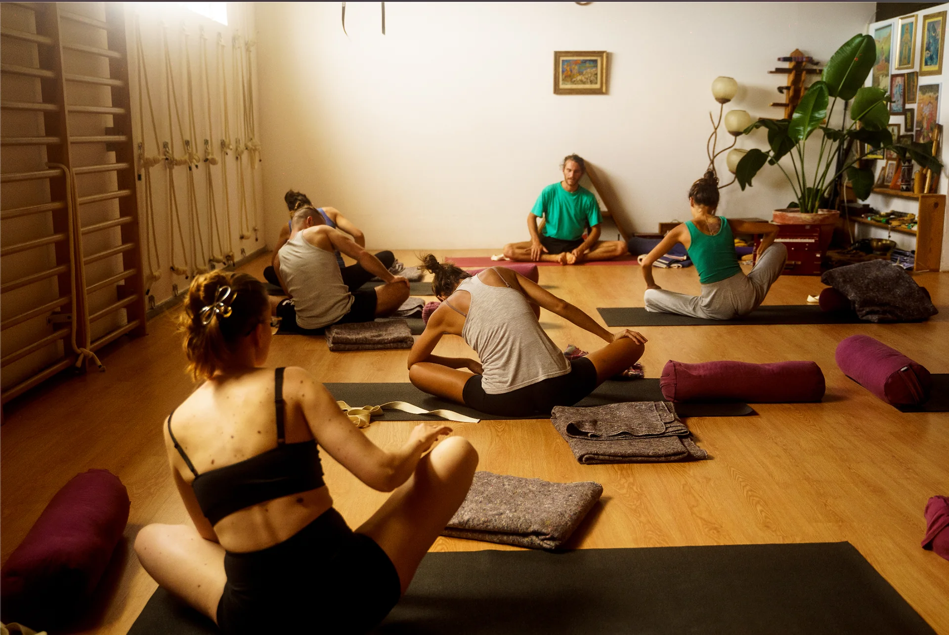 Fascians hemliga liv – workshop