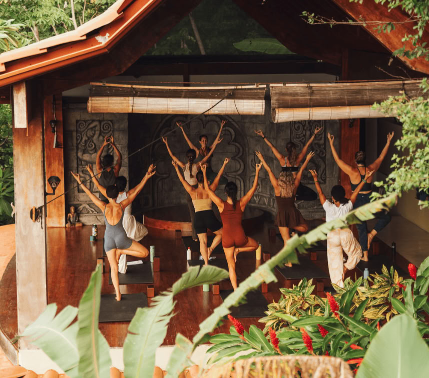 Vild av naturen-retreat – Angela Boltz