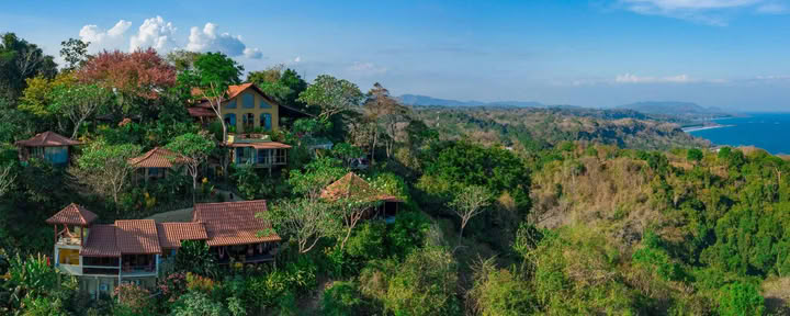 Vild av naturen-retreat – Angela Boltz