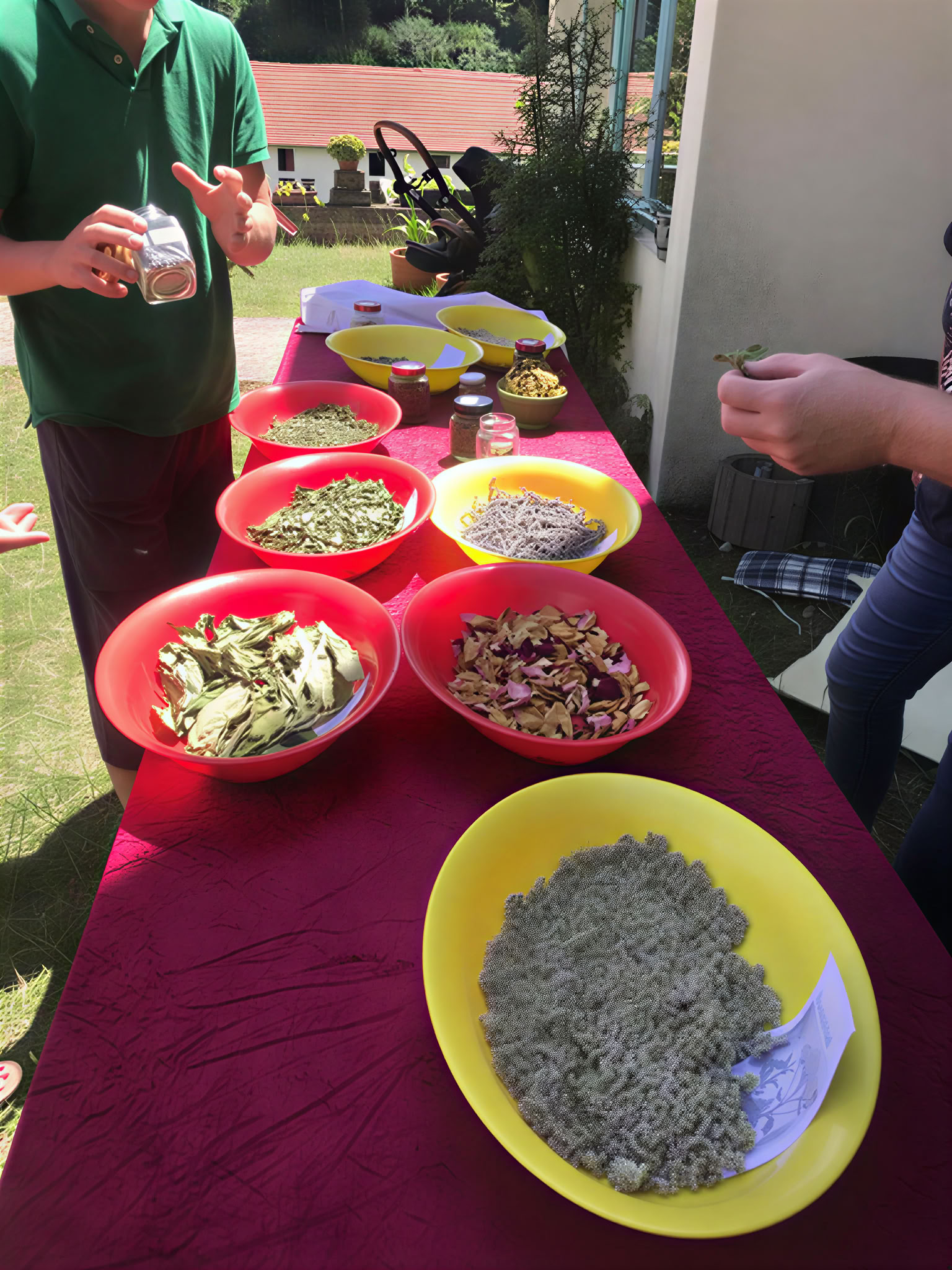 Ayurveda välmåenderetreat