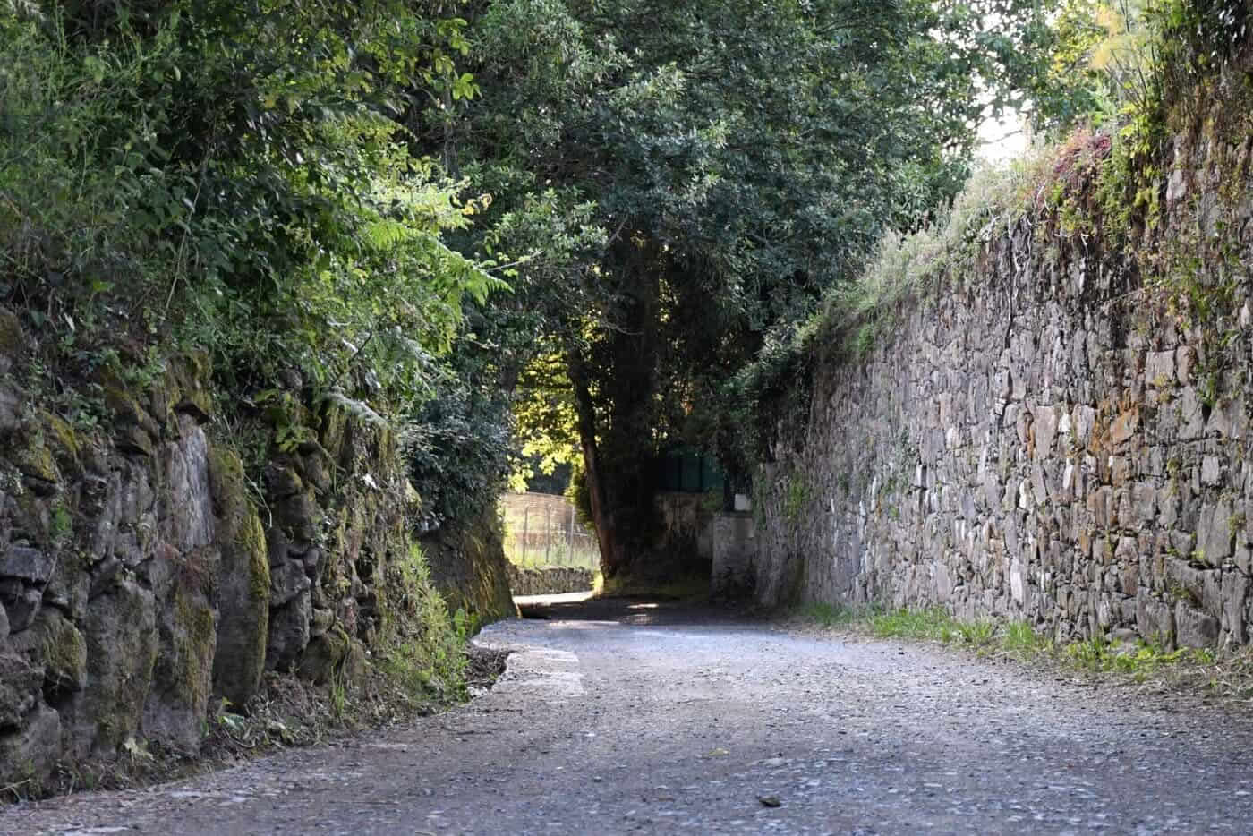Portugisiska Camino de Santiago från Tui i 5 etapper, komfortklass