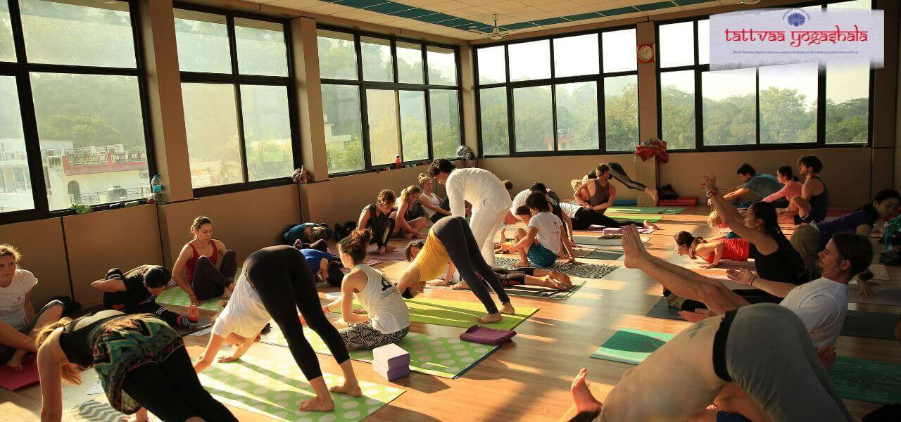 500-timmars yogalärarutbildning Rishikesh