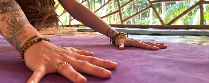 Yogasemestrar