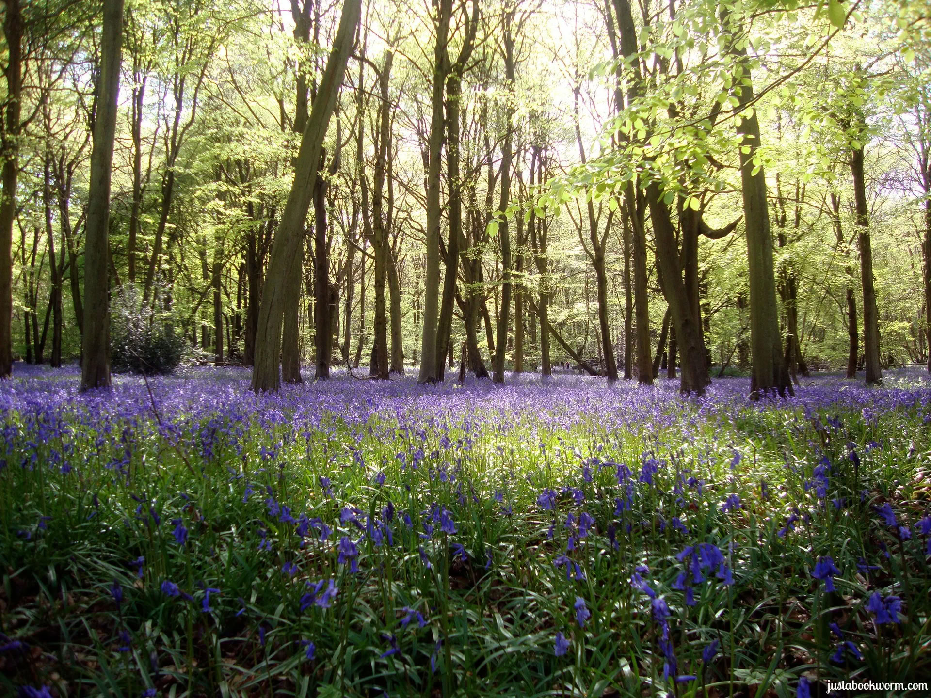 Kreativ matlagning, medvetet ätande och yogaretreat, Cotswolds, Oxfordshire