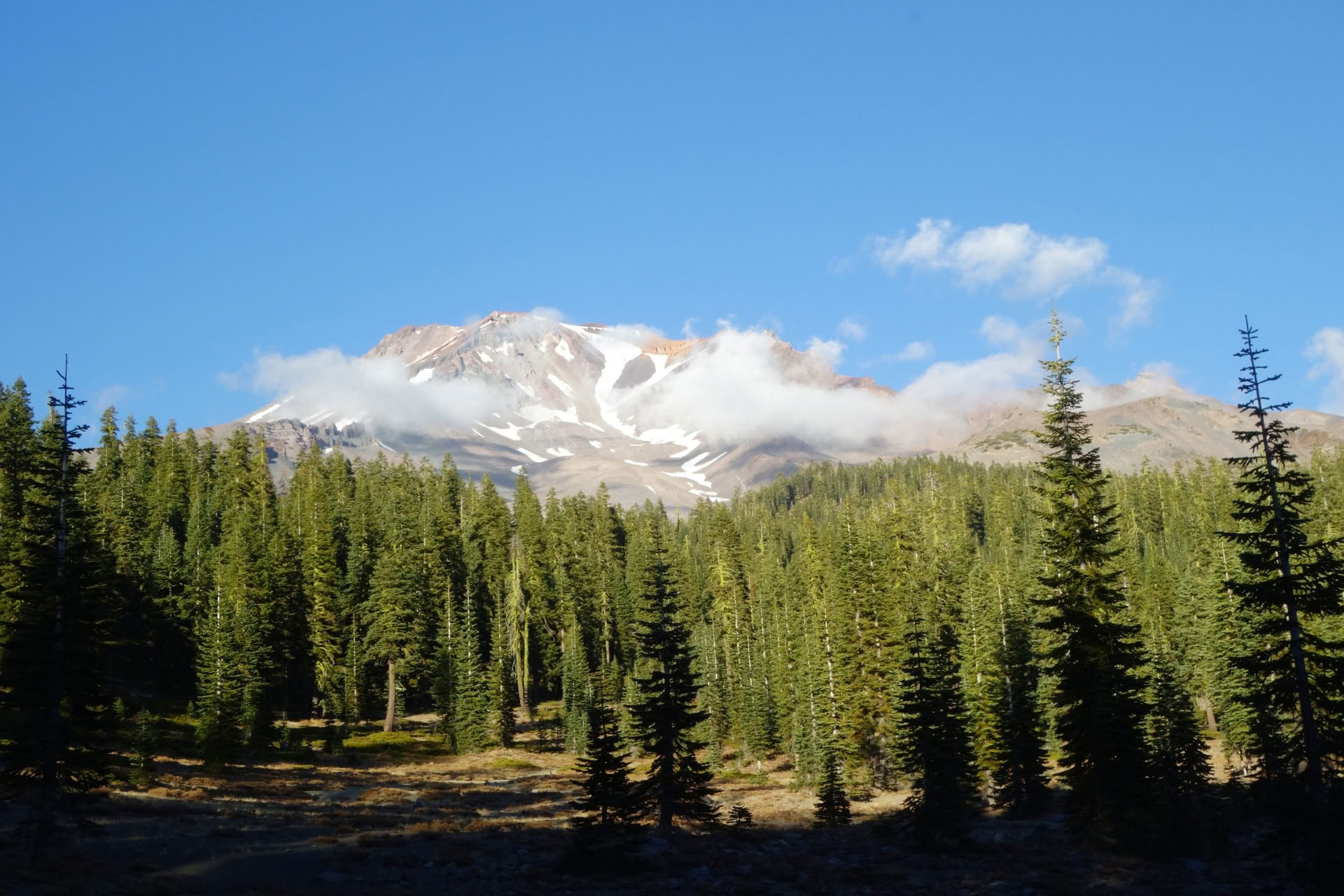 Sommarsolståndsturné - Helig resa vid Mount Shasta