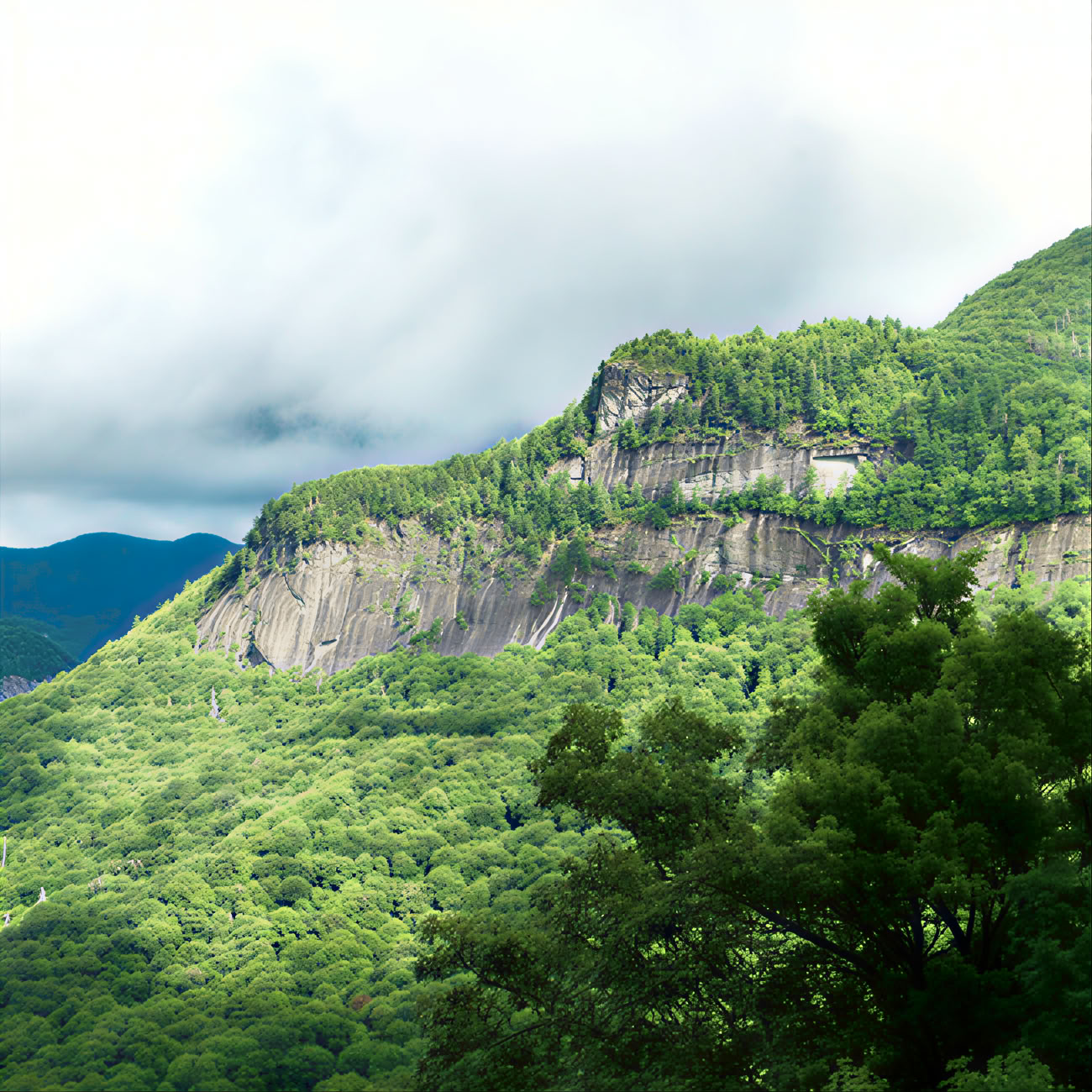 Vandring till toppen av Whiteside Mountain, North Carolina