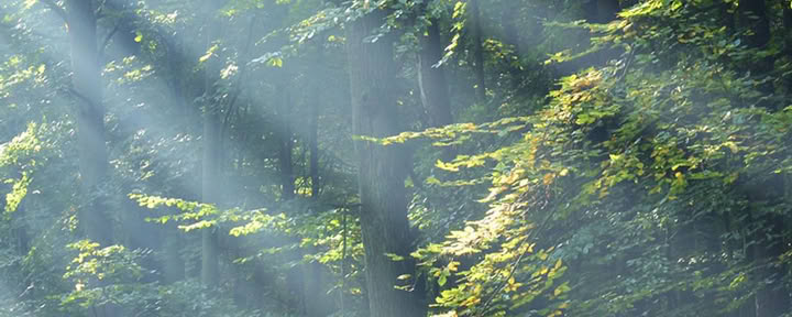 Jordkvinnans nakna yoga- och meditationsretreat