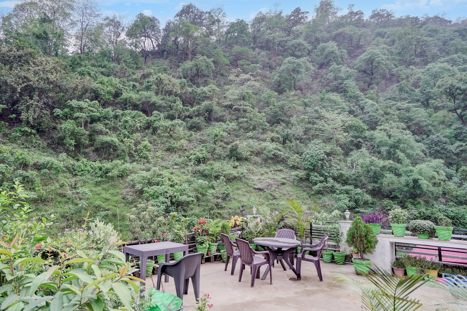 Detoxretreat i Rishikesh