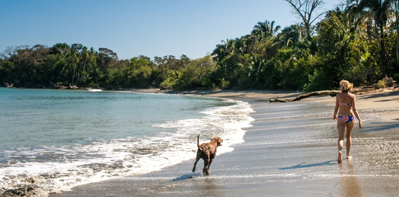 Återförvildning: En kvinnoretreat till Costa Rica med Shelia