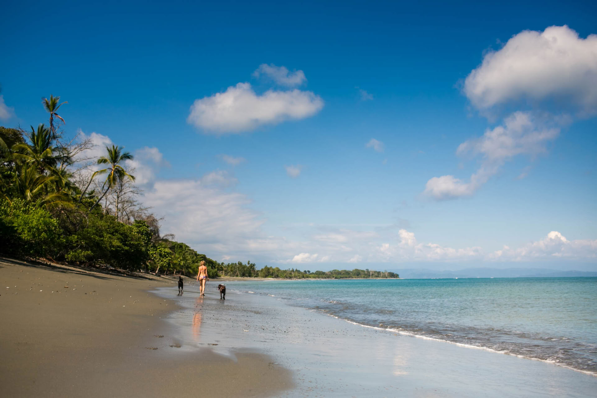 Mjuk visdom: yogaoch meditationsretreat i Costa Rica 2027