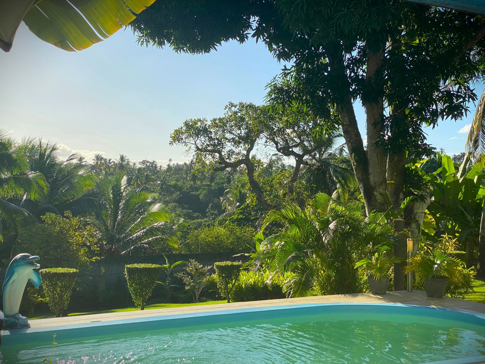 Surfcamp i Bahia, Brasilien