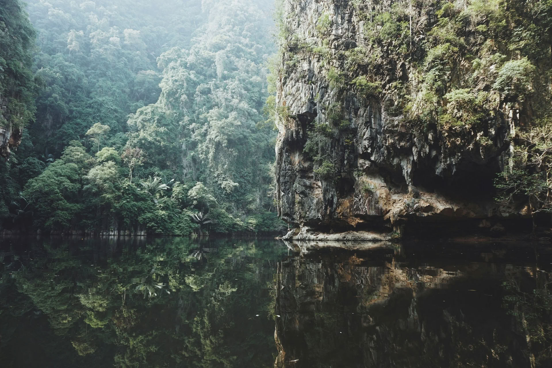 11-dagars ayahuascaretreat