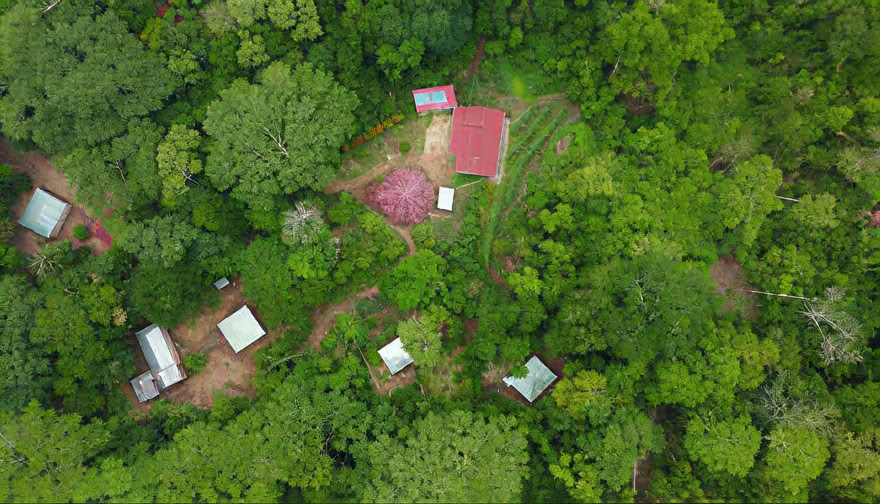 Ayahuasca-helgretreat