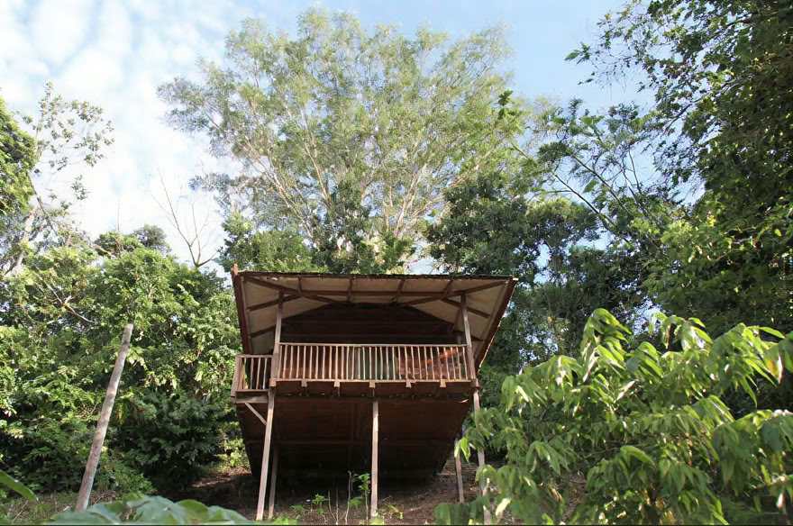 Ayahuasca-helgretreat