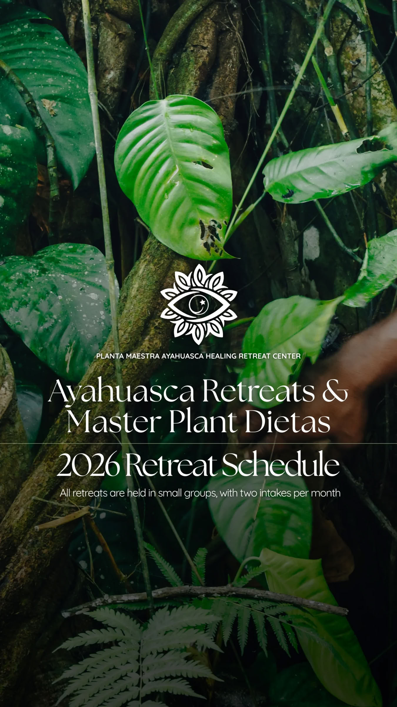 10-dagars ayahuascaresa + master plant-dieta