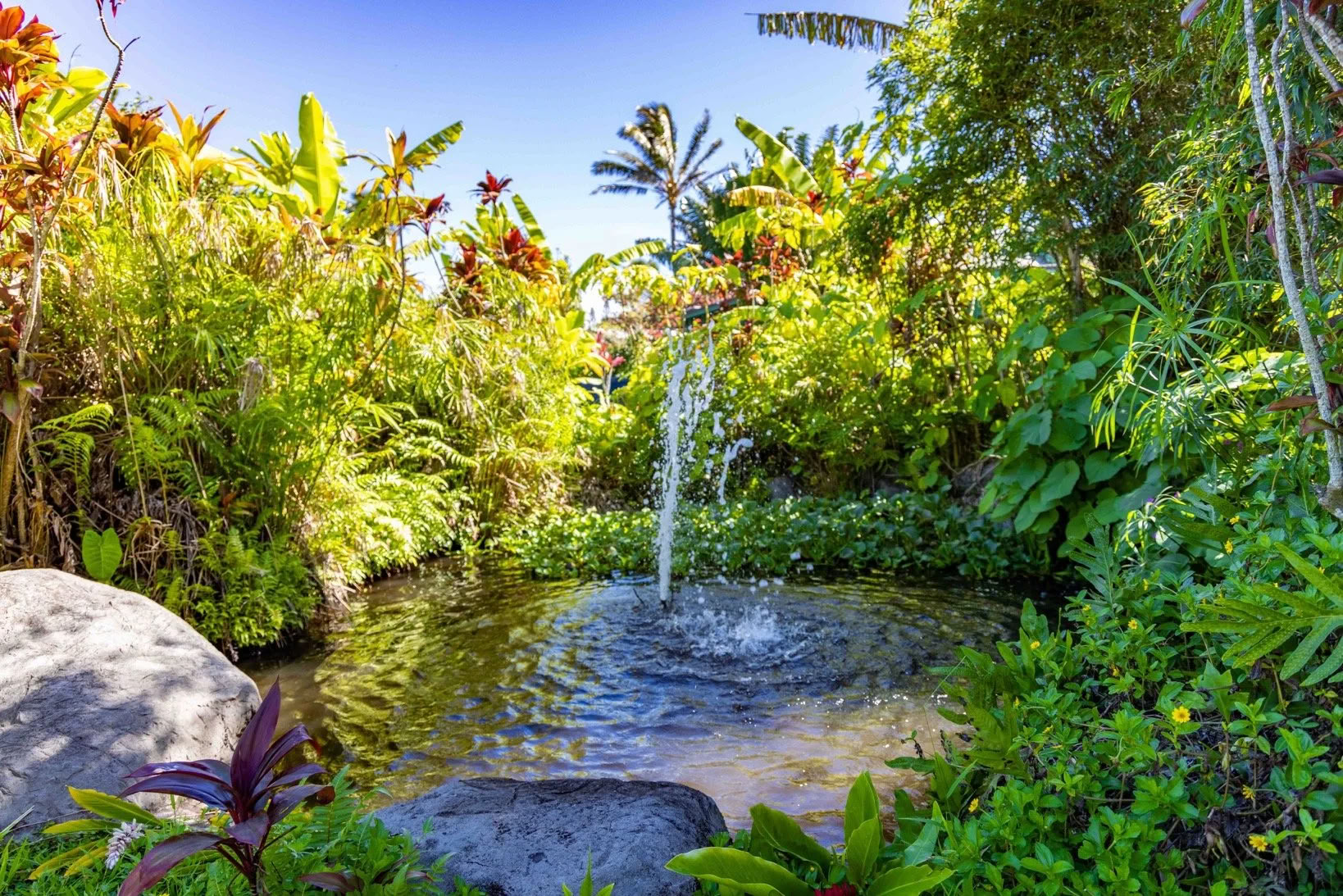 Få ordning på dig själv-retreat – Maui