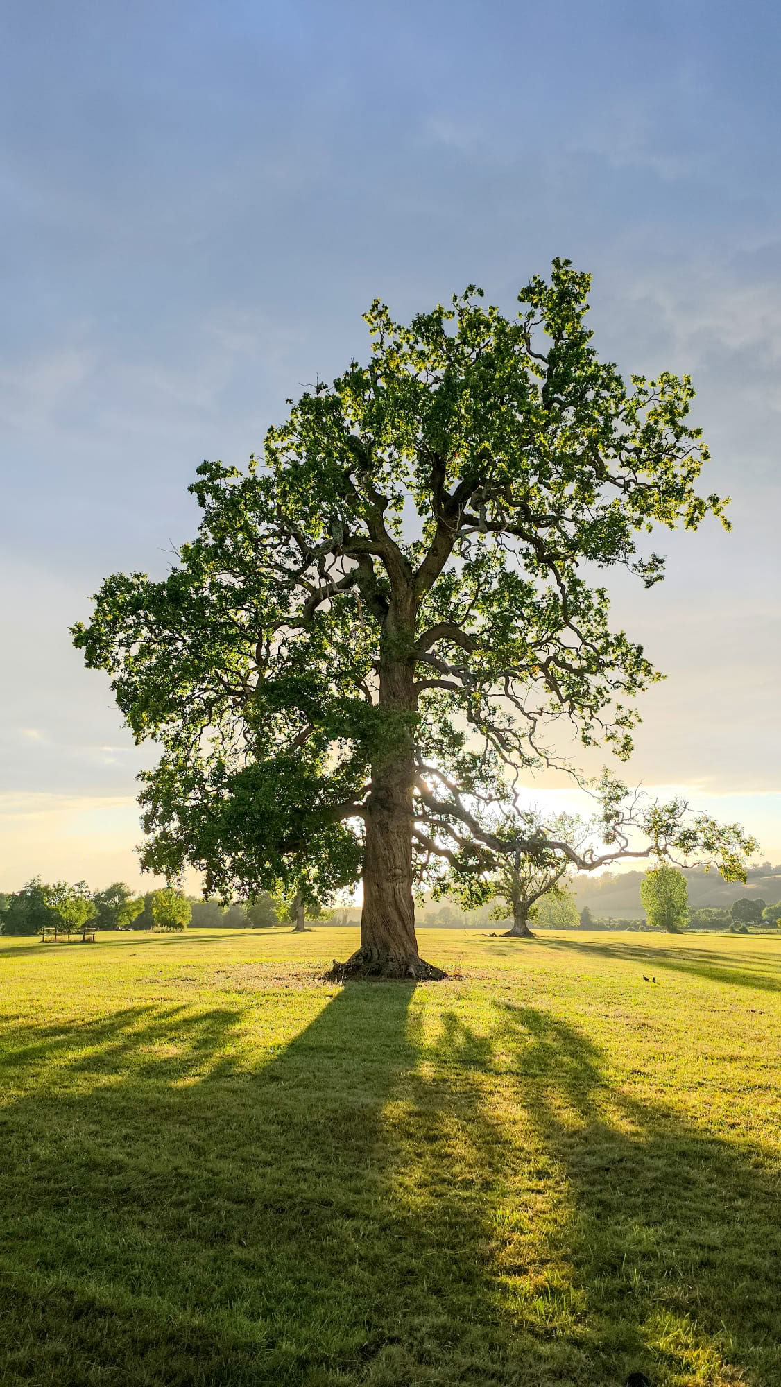 Vipassana-insiktsmeditationsretreat – 31 aug – 6 sep