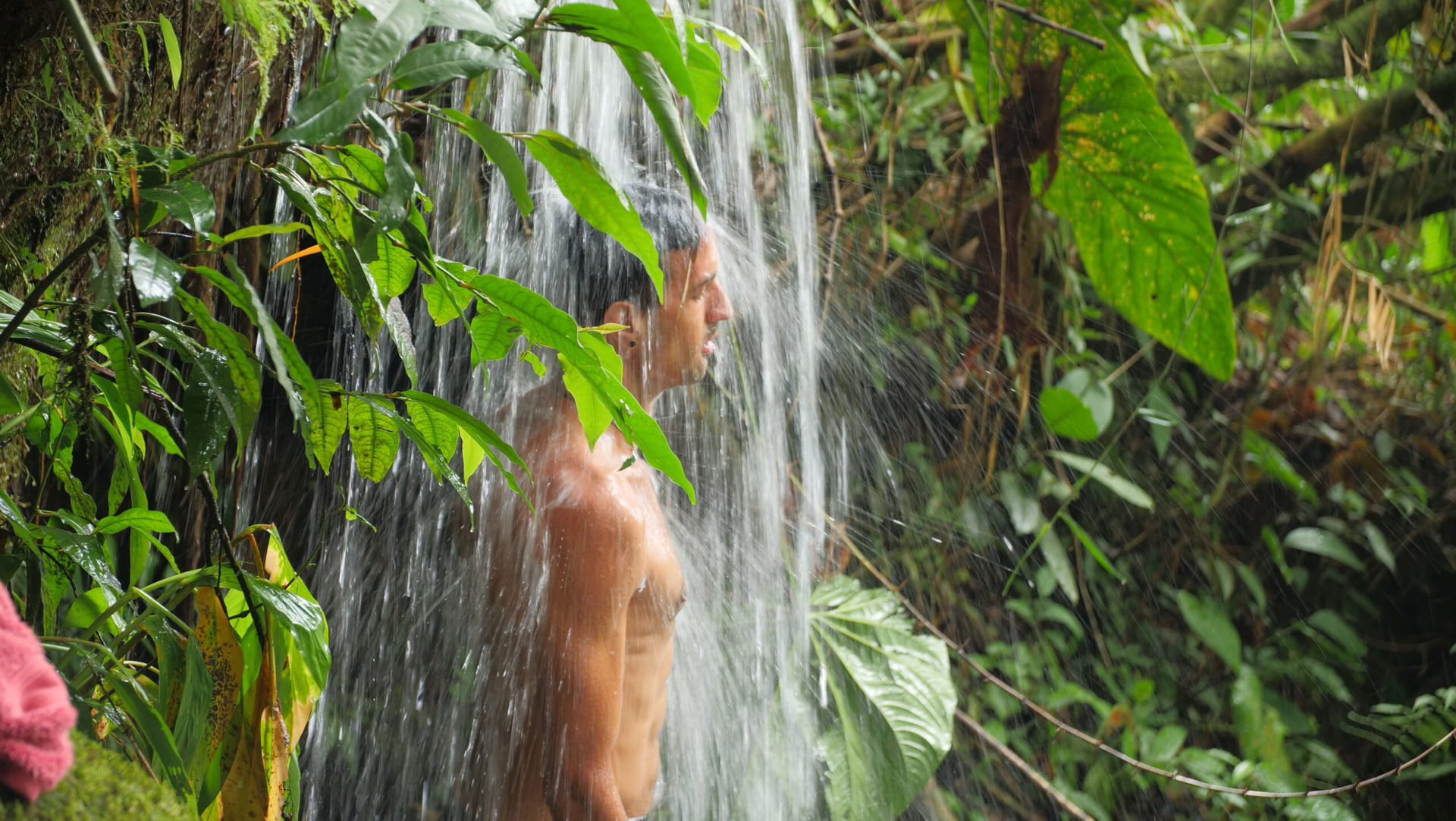 Ayahuasca- och somatisk resa