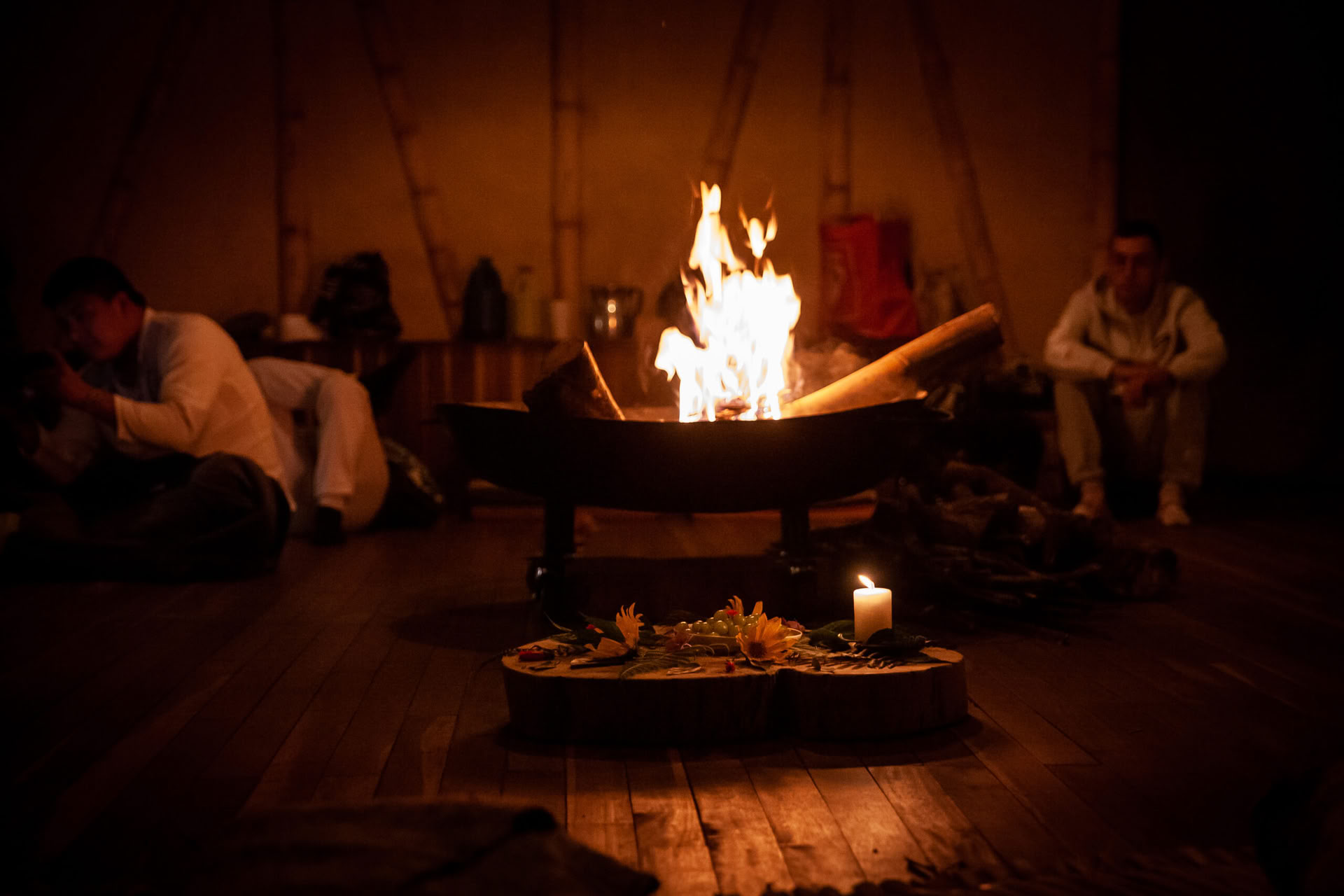 Ayahuasca- och somatisk resa