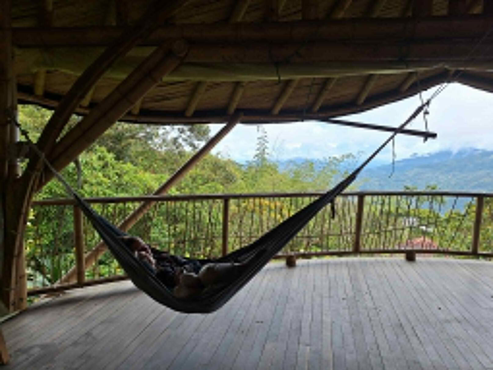 Ayahuasca- och somatisk resa