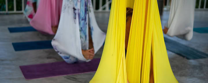 Hatha / Vinyasa Flow