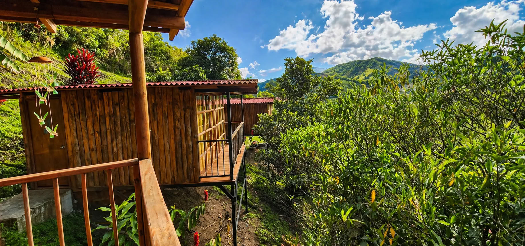 Ayahuascaretreat i Medellín i december 2026