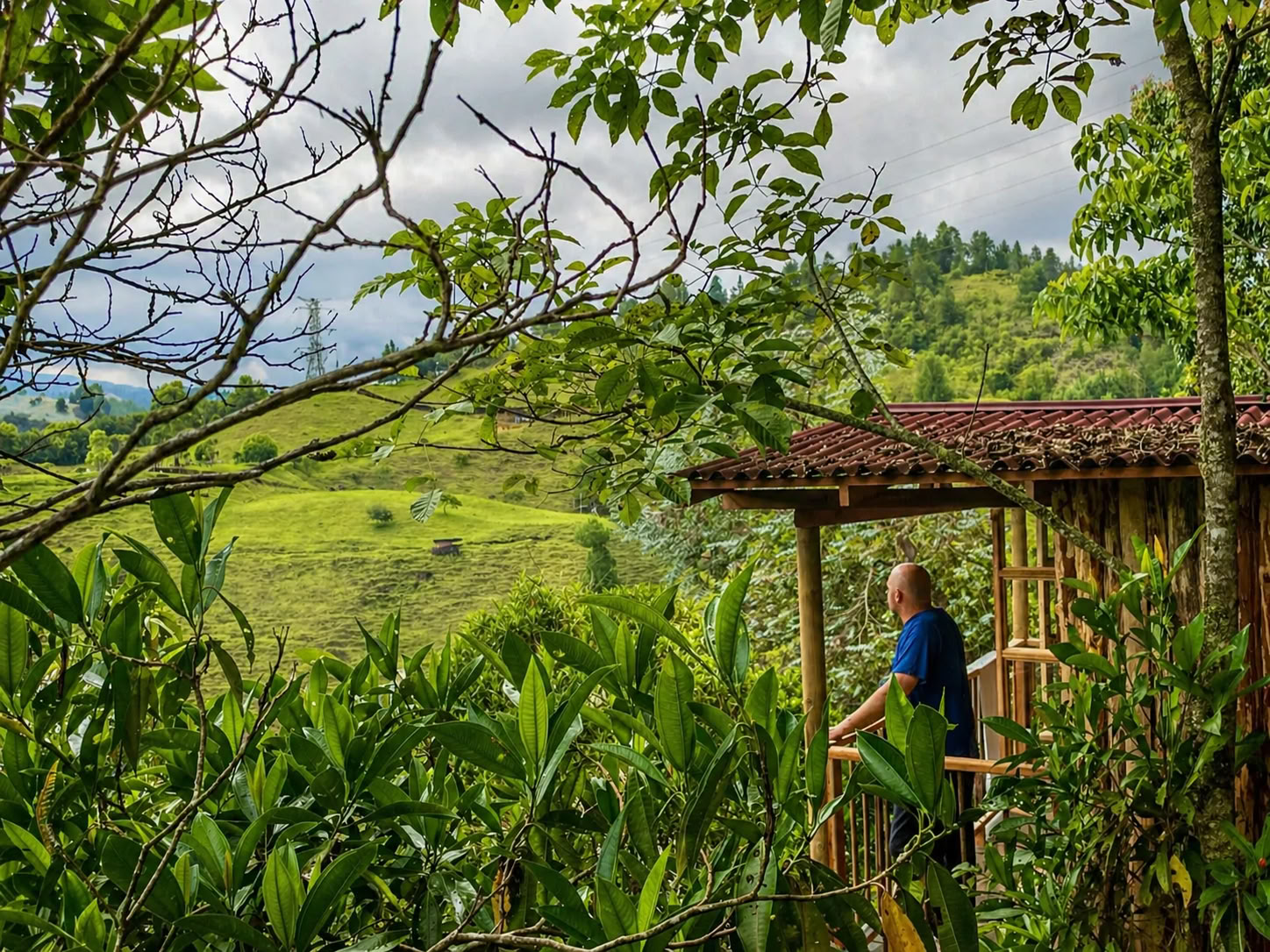 Ayahuascaretreat i Medellín i juli 2026