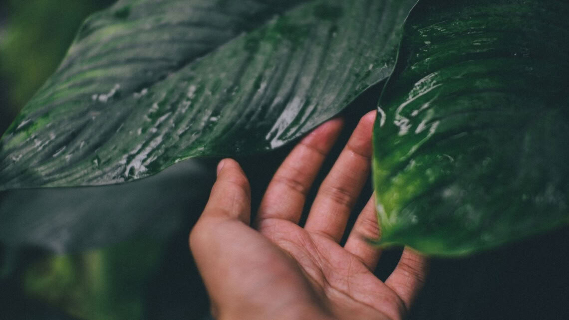 Introduktion till mindfulnessmeditation