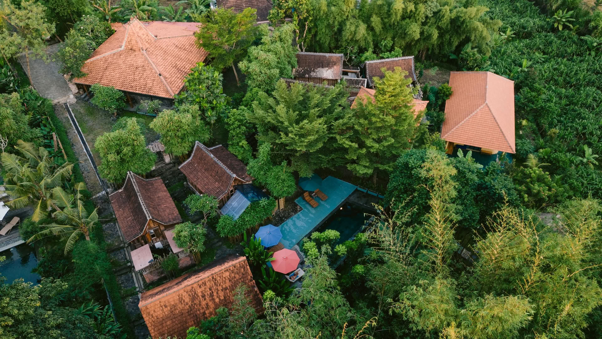 Ashtanga yoga-retreat på Bali