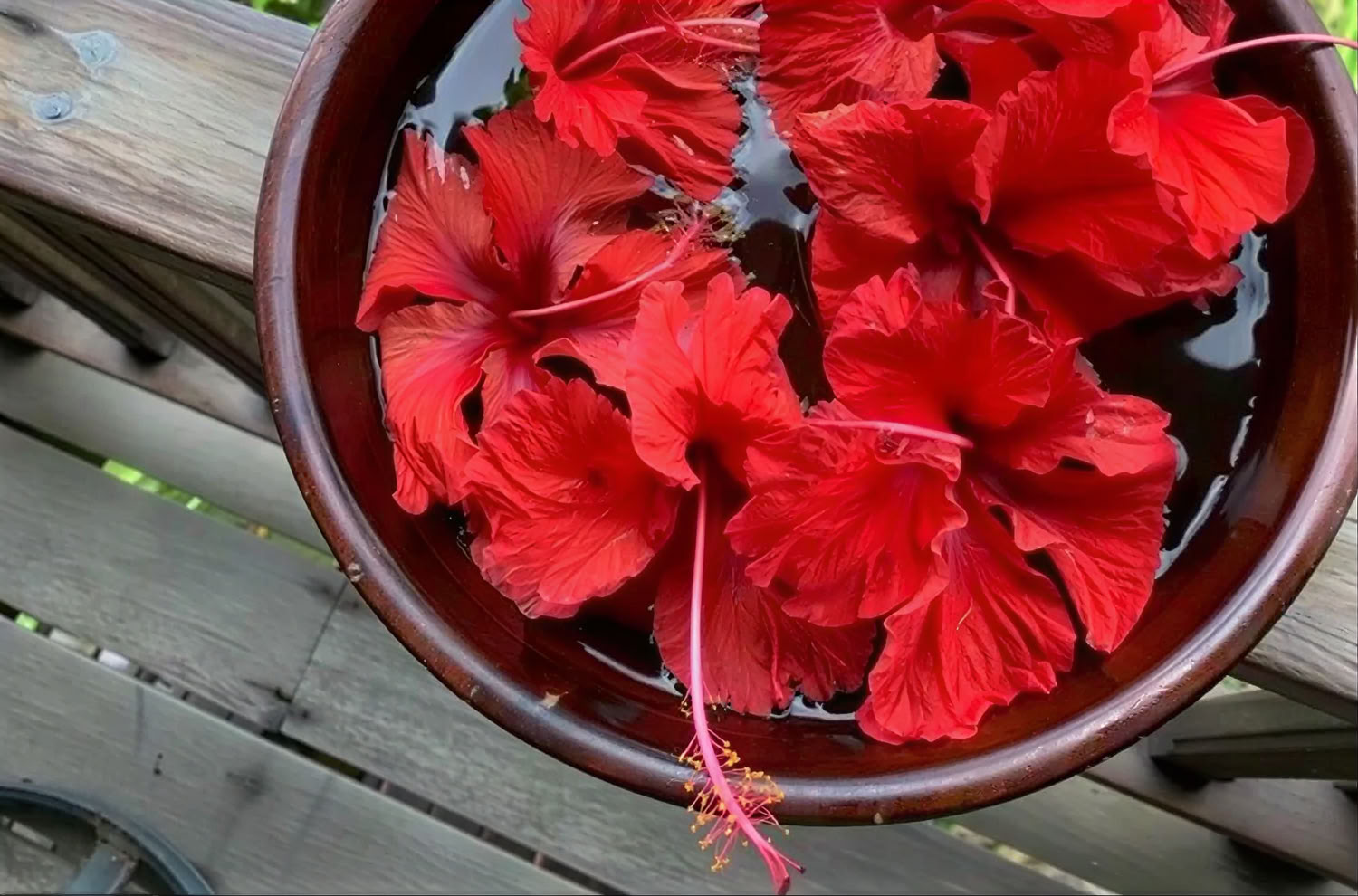 Wellness-retreatpaket för att blomstra